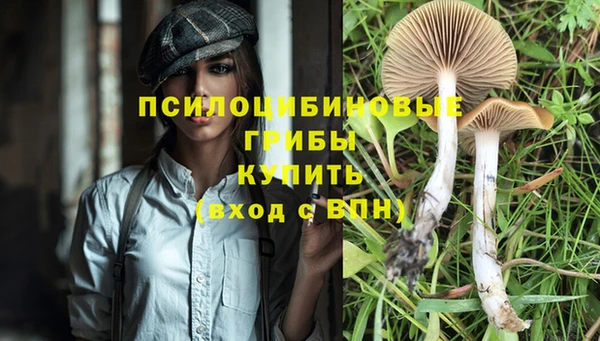 прущие крисы Сафоново